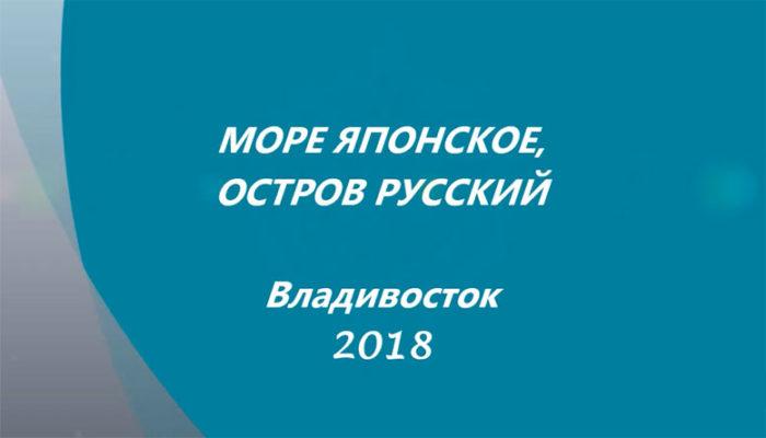 Море Японское, остров Русский.
